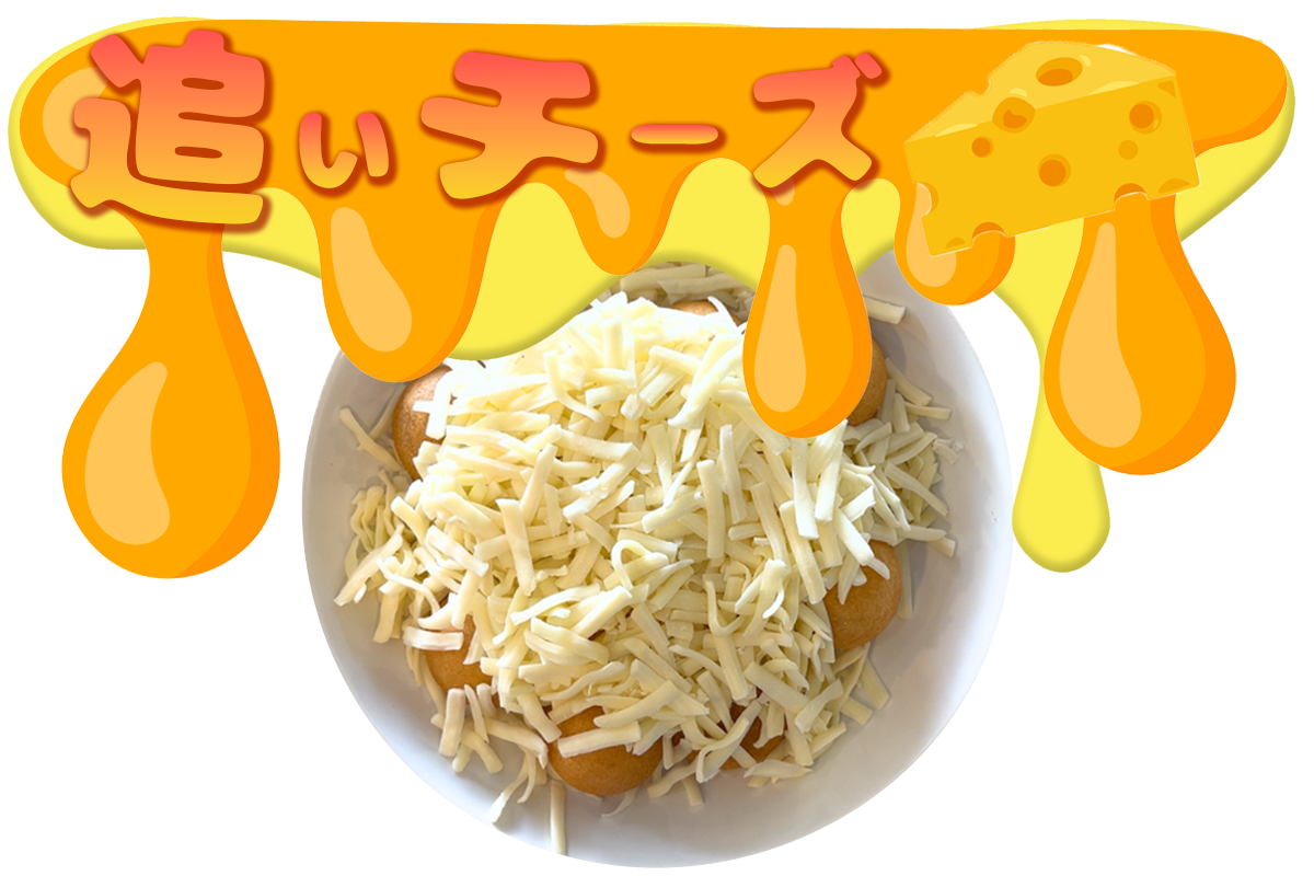 追いチーズ